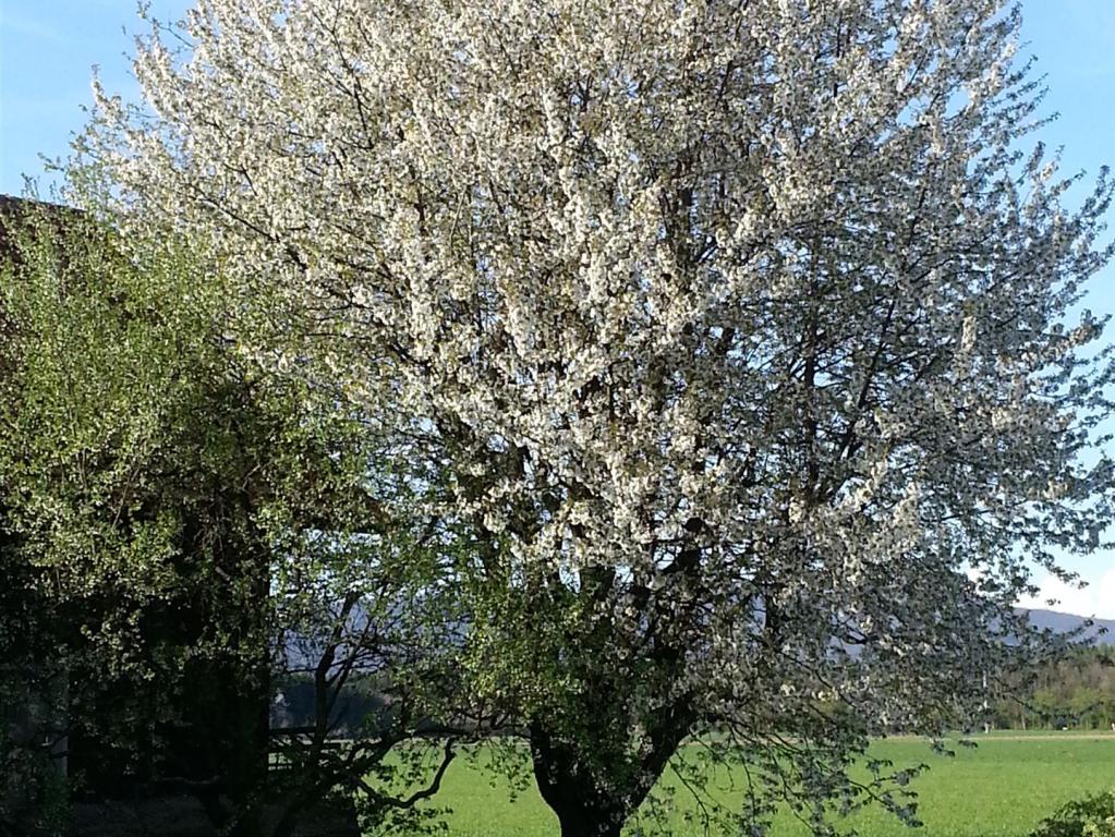 20140411_173820.jpg